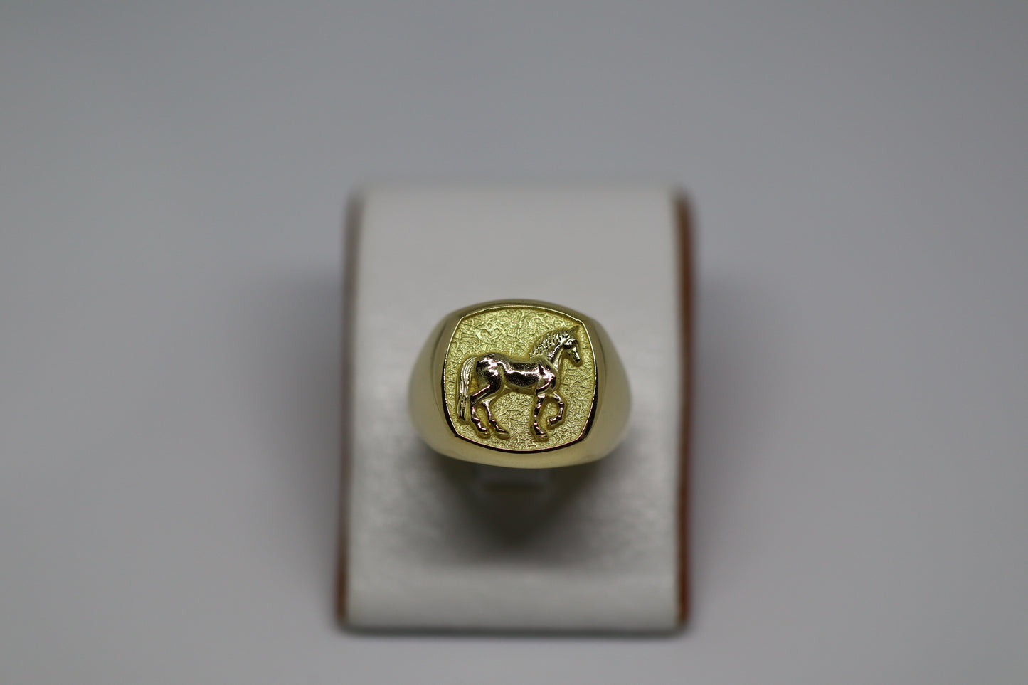 ANILLO EQUINO