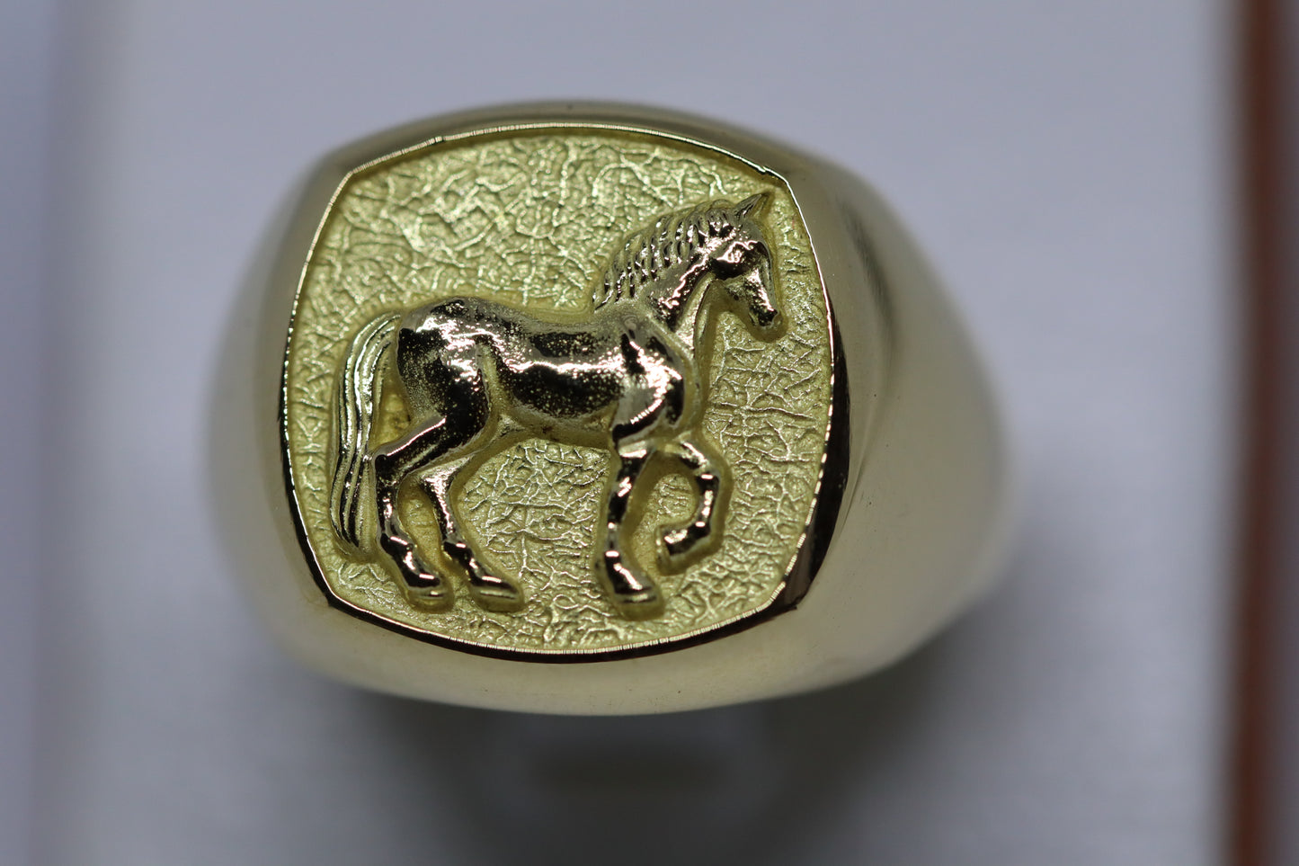 ANILLO EQUINO